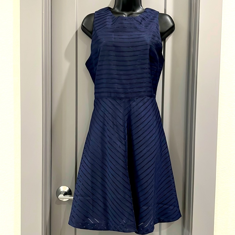 Banana Republic Navy blue sleeveless A-line knee length dress with sheer stripes